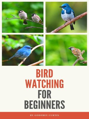 cover image of Bird Watching For Beginners